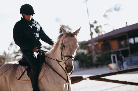 Equestrian Sports