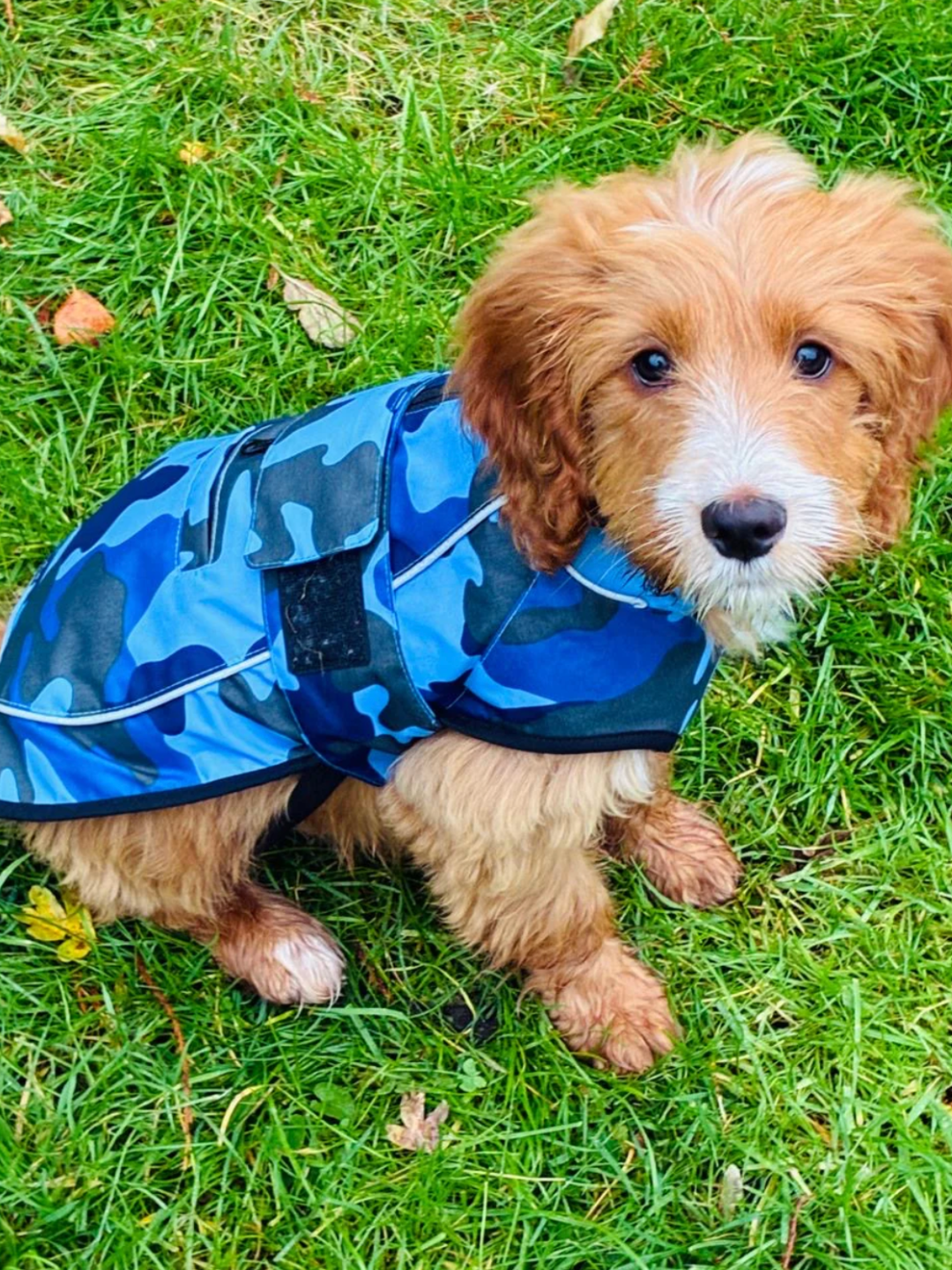 Waterproof Changing Robes in Liverpool | Adults, Kids & Dog Robes by RuggaRobe
