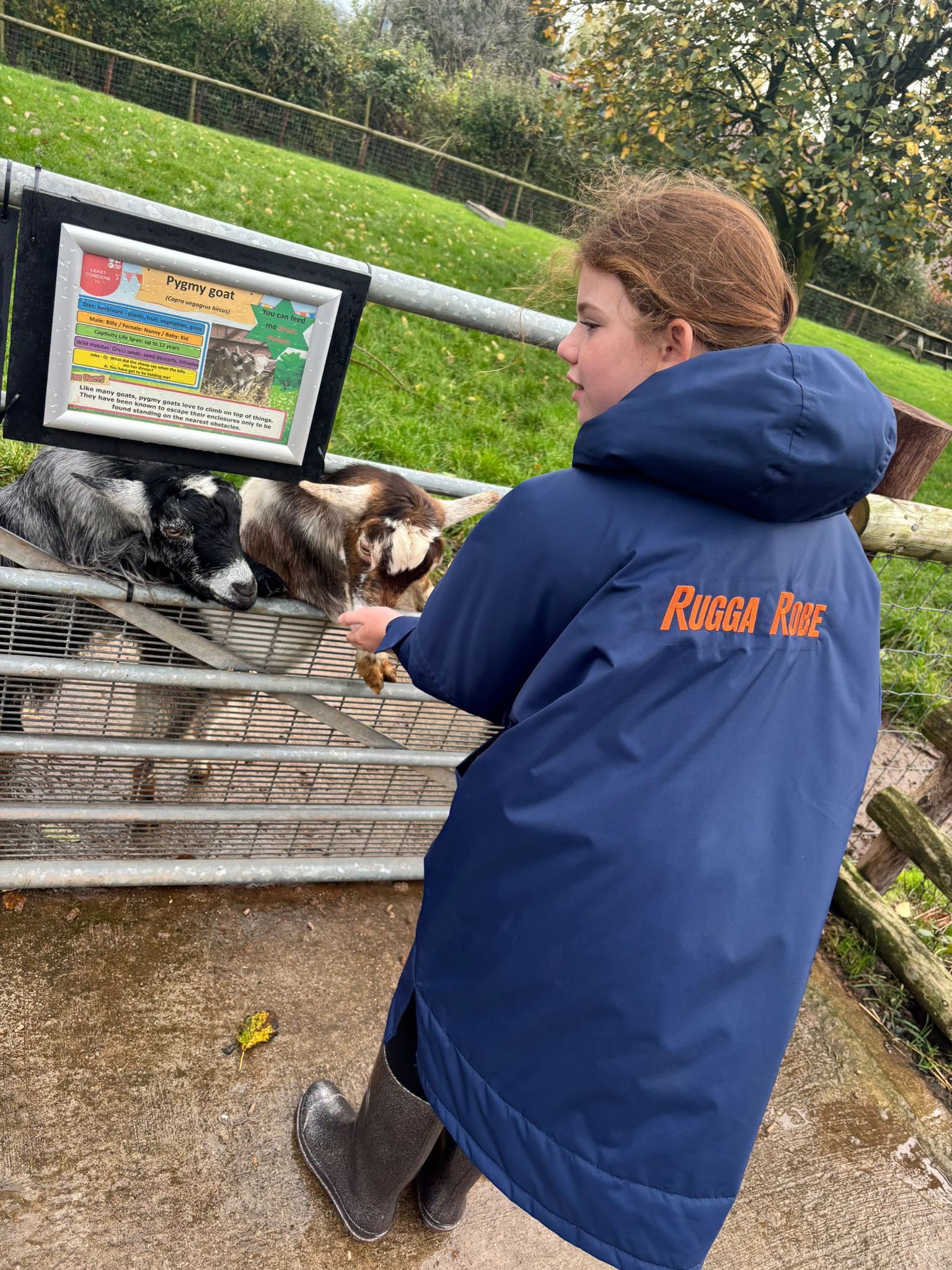 Person in a blue coat with 'Rugga Robe' text feeding animals at a petting zoo.