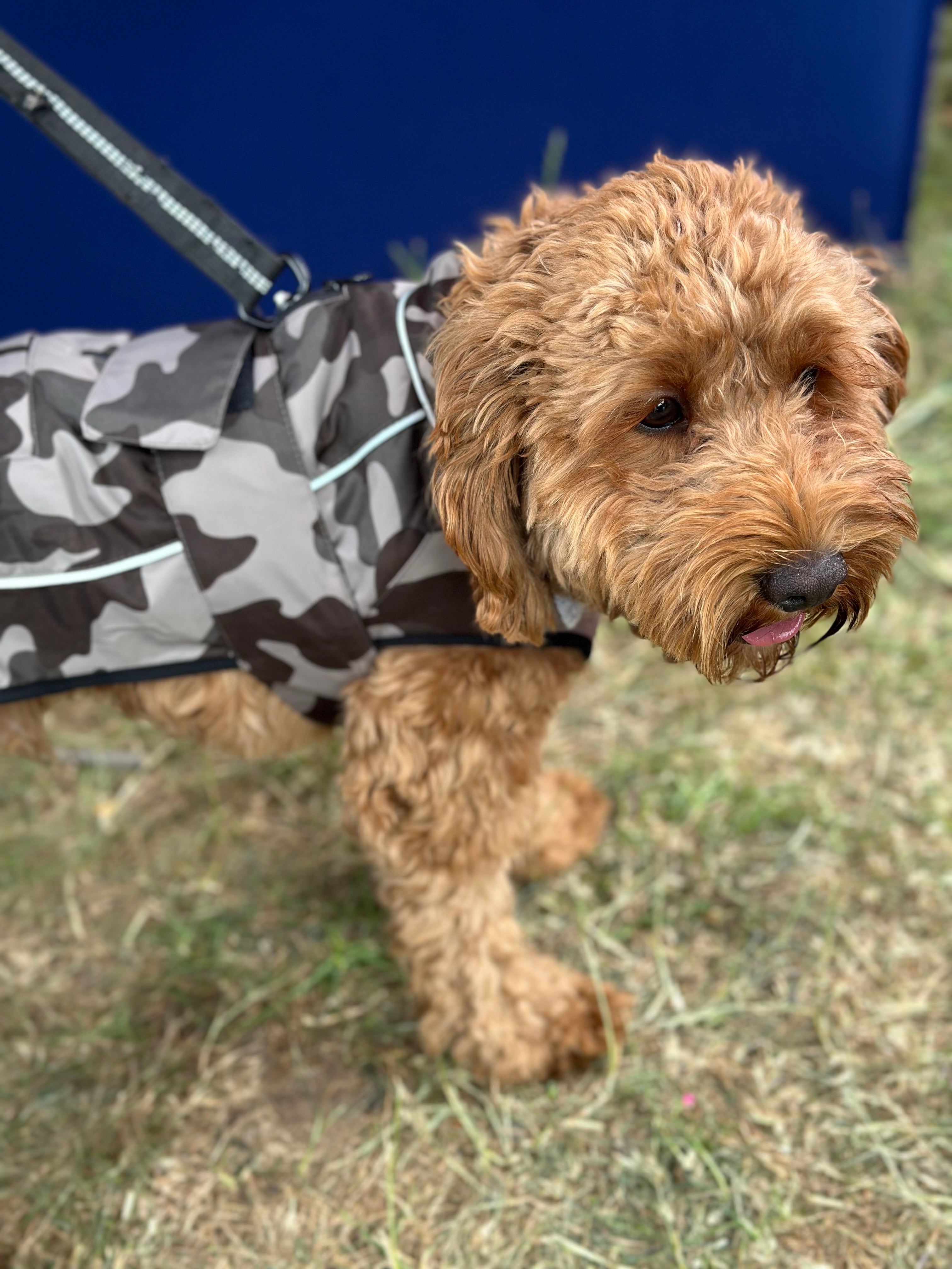 Waterproof Fleece Lined RuggaRobe Dog Coat - Grey Camo with Grey Fleece