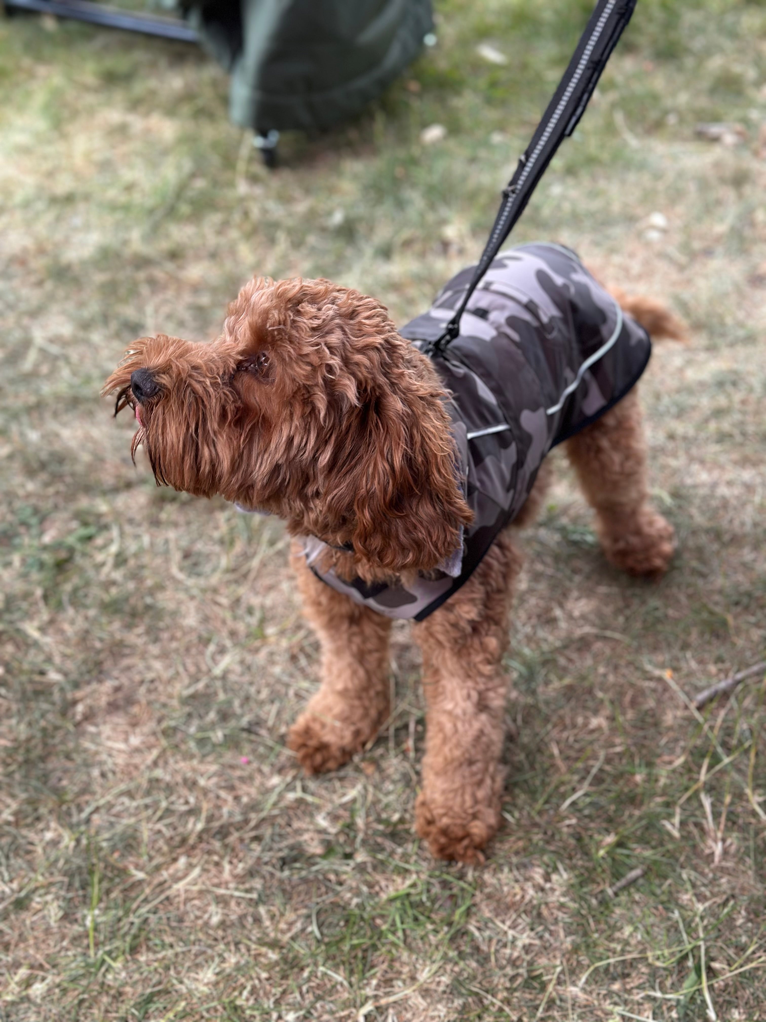 Waterproof Fleece Lined RuggaRobe Dog Coat - Grey Camo with Grey Fleece