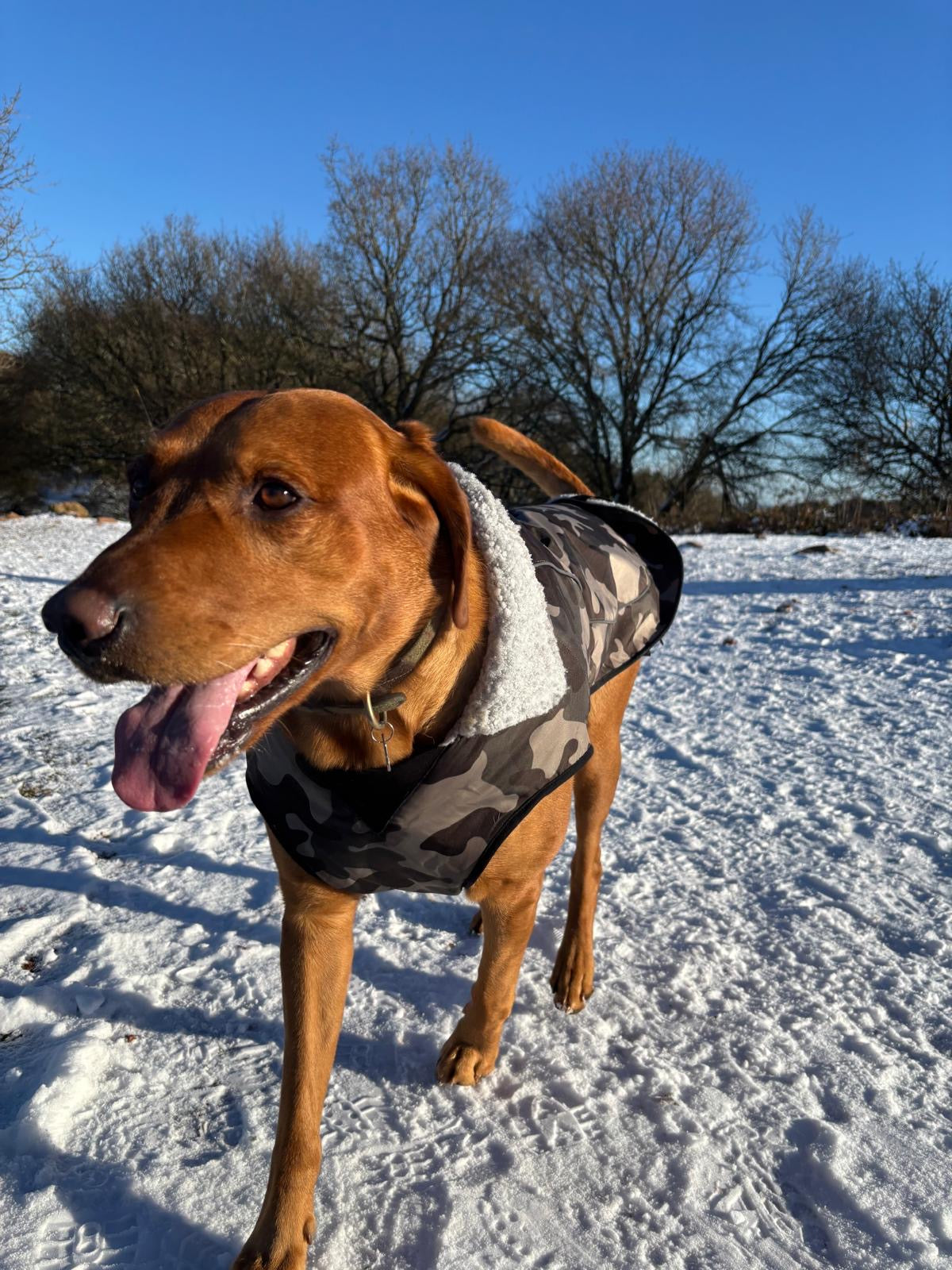 Waterproof Fleece Lined RuggaRobe Dog Coat - Grey Camo with Grey Fleece