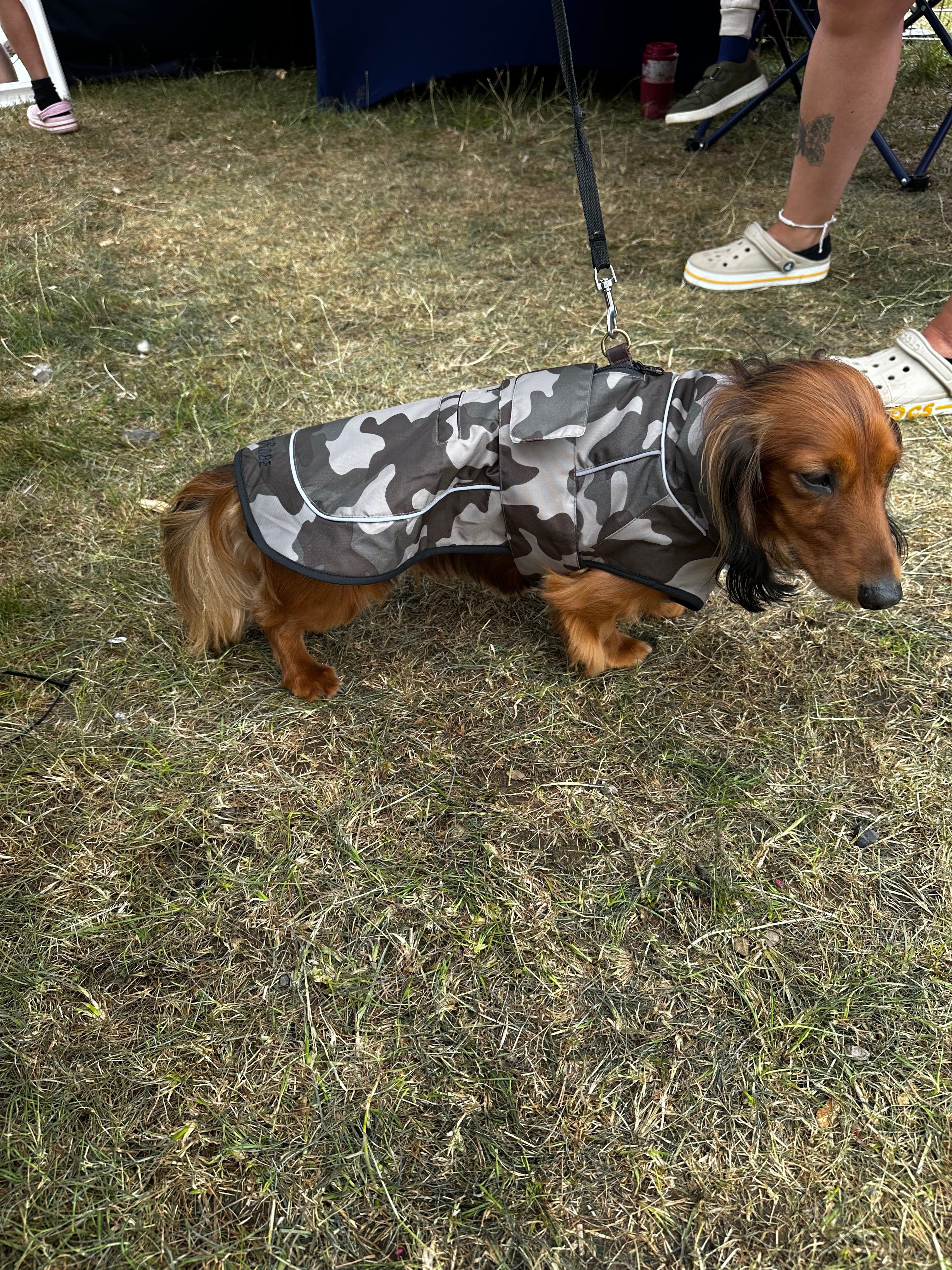 Waterproof Fleece Lined RuggaRobe Dog Coat - Grey Camo with Grey Fleece