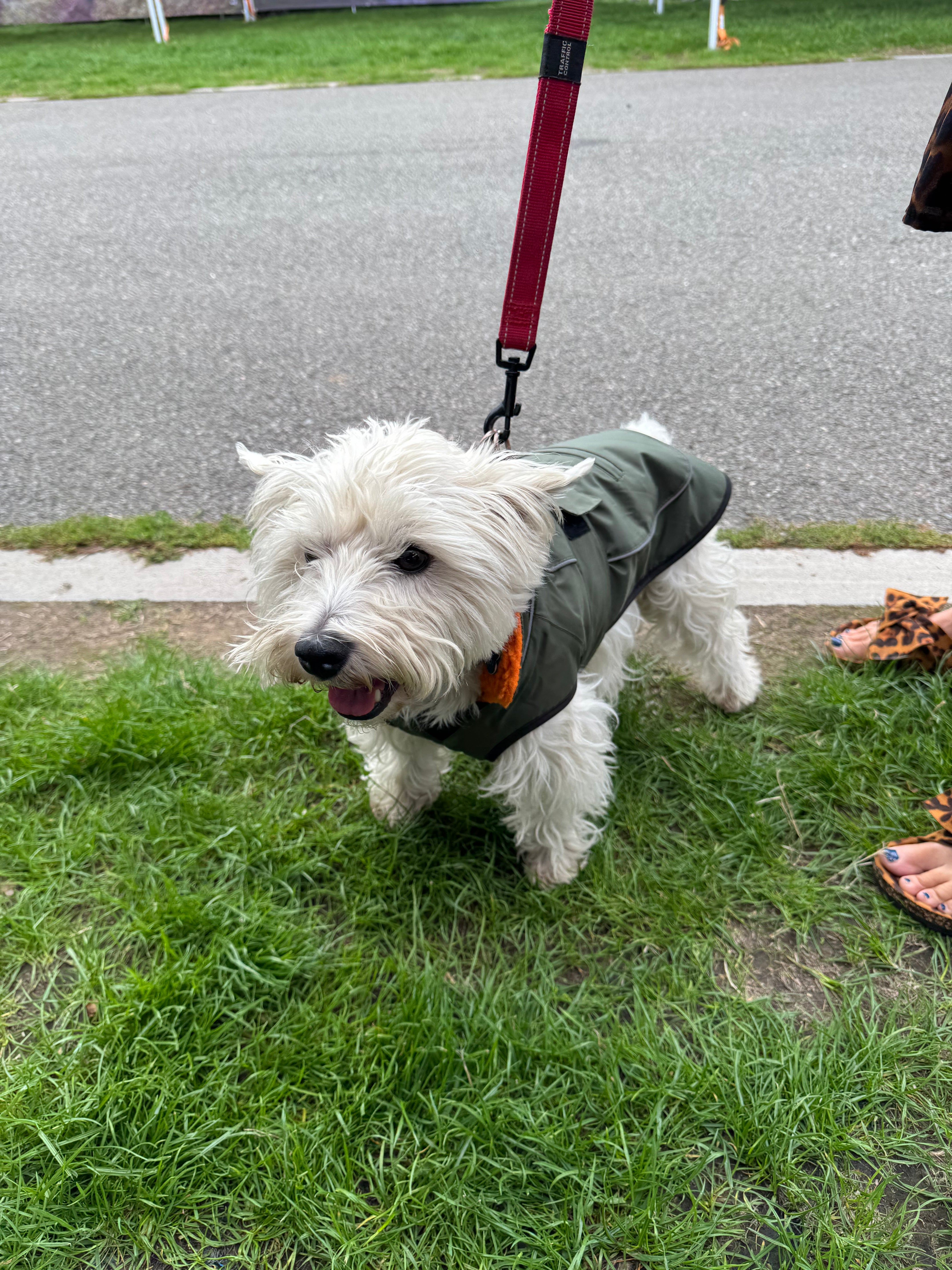 Waterproof Fleece Lined RuggaRobe Dog Coat - Green with Orange Fleece