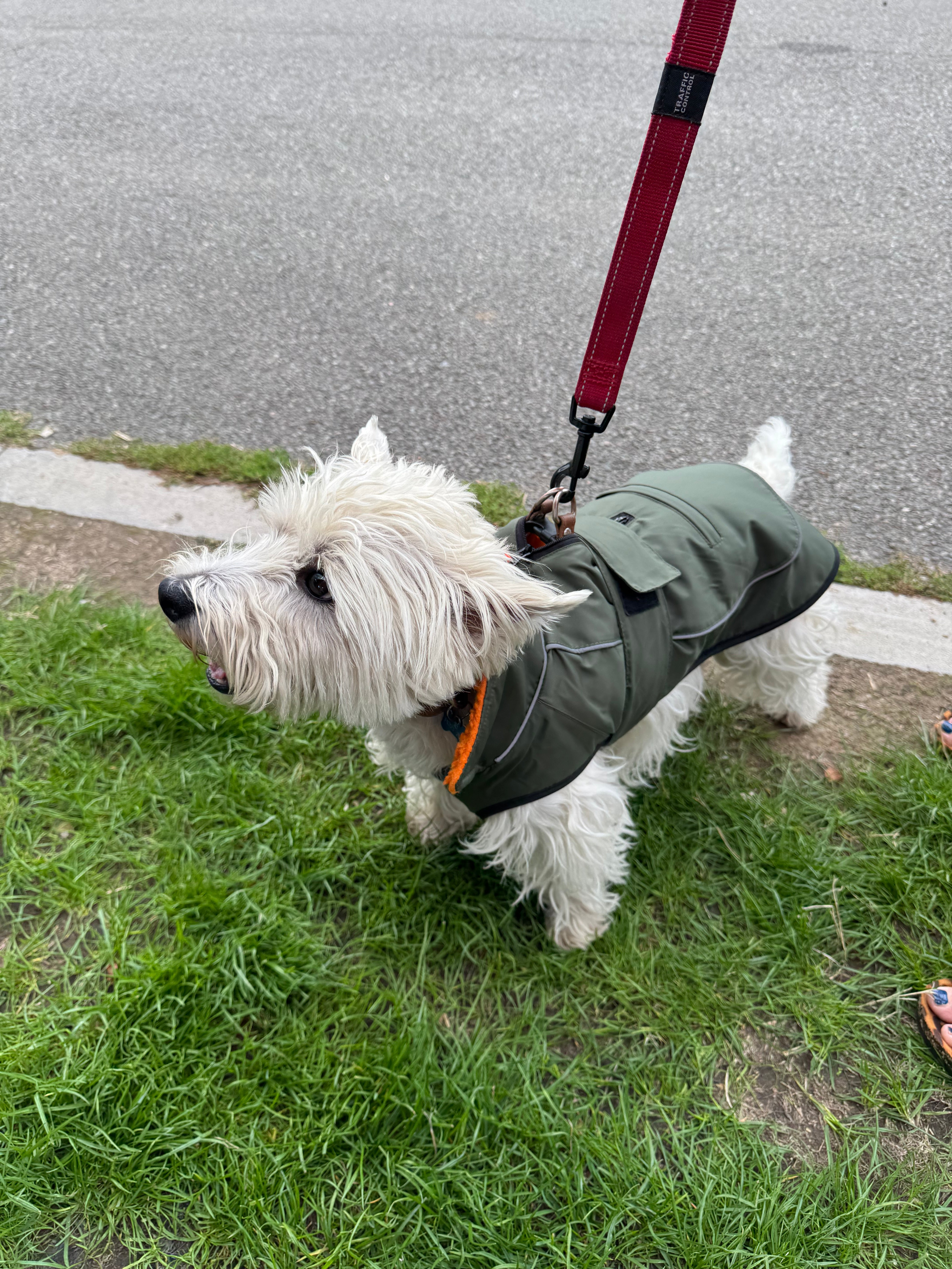 Waterproof Fleece Lined RuggaRobe Dog Coat - Green with Orange Fleece