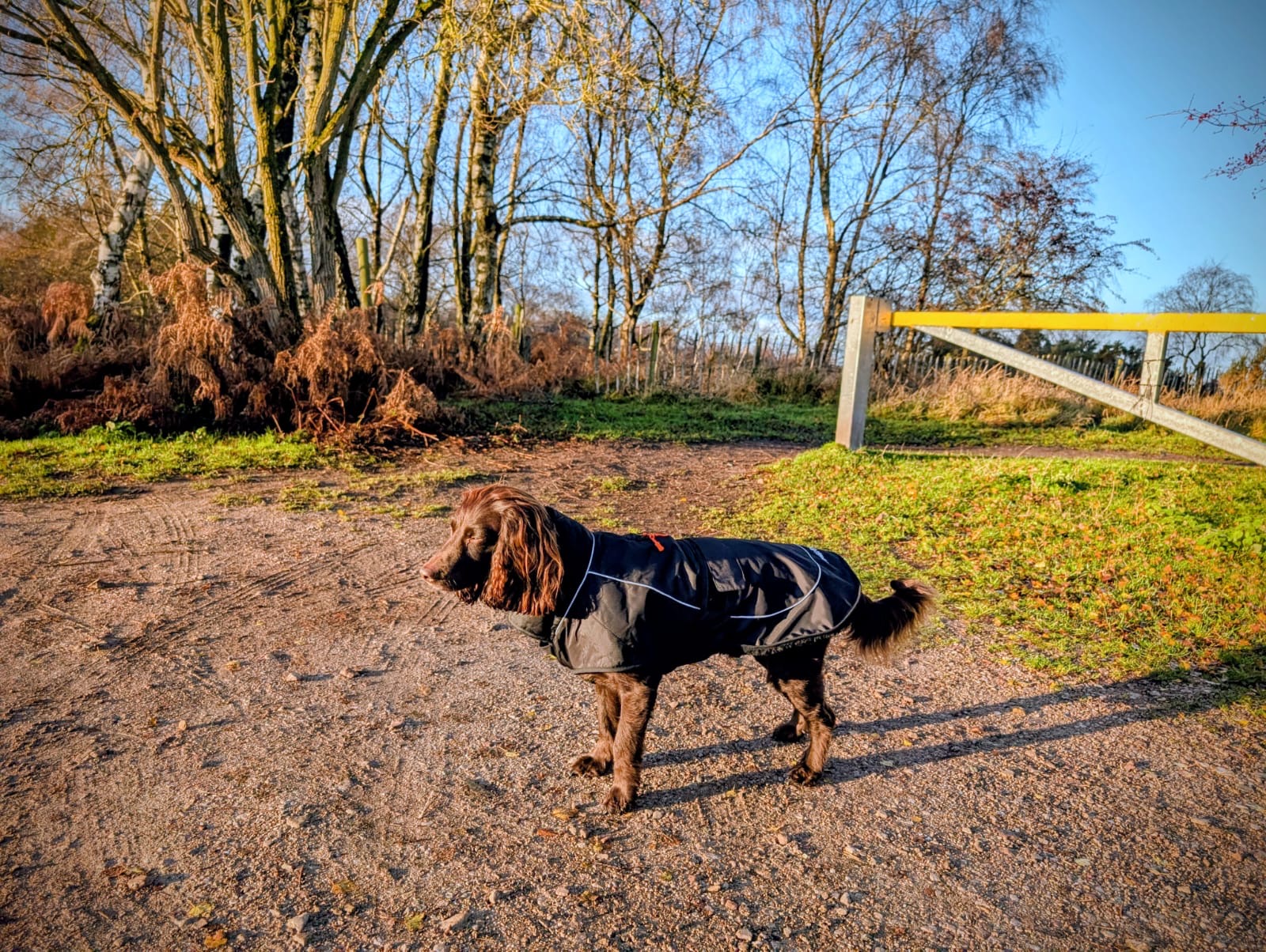 Waterproof Fleece Lined RuggaRobe Dog Coat - Black with Black Fleece
