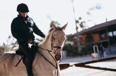 Equestrian Sports