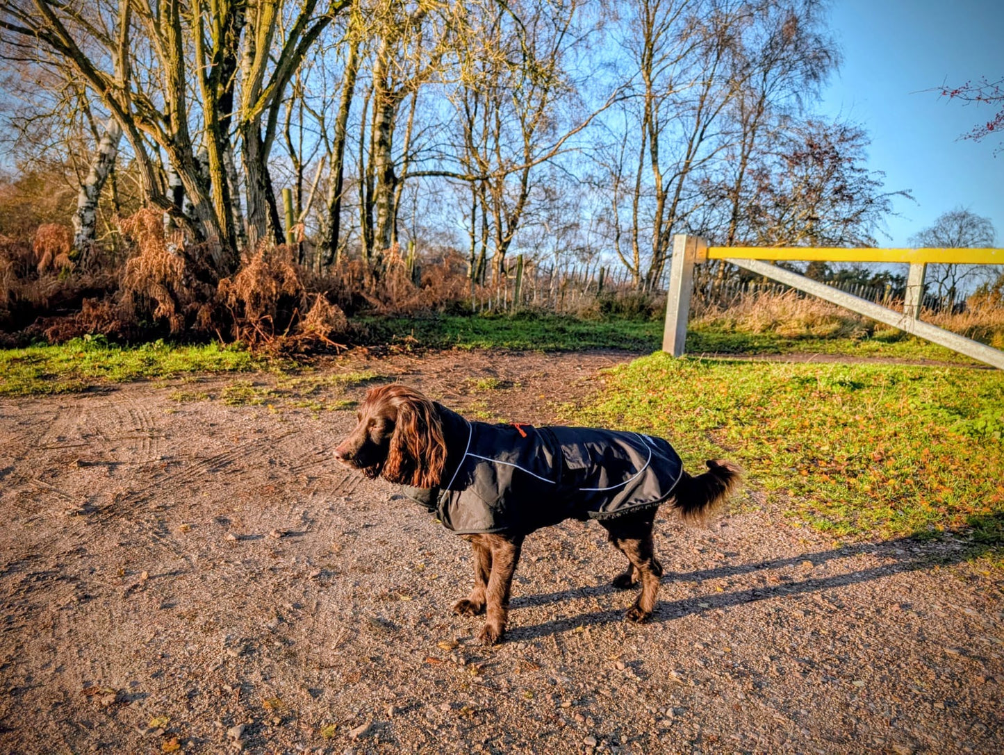Dog Coat made Waterproof and with a cosy fleece - Black with black fleece