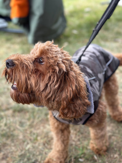 Dog Coat made Waterproof and with a cosy fleece - Grey Camo