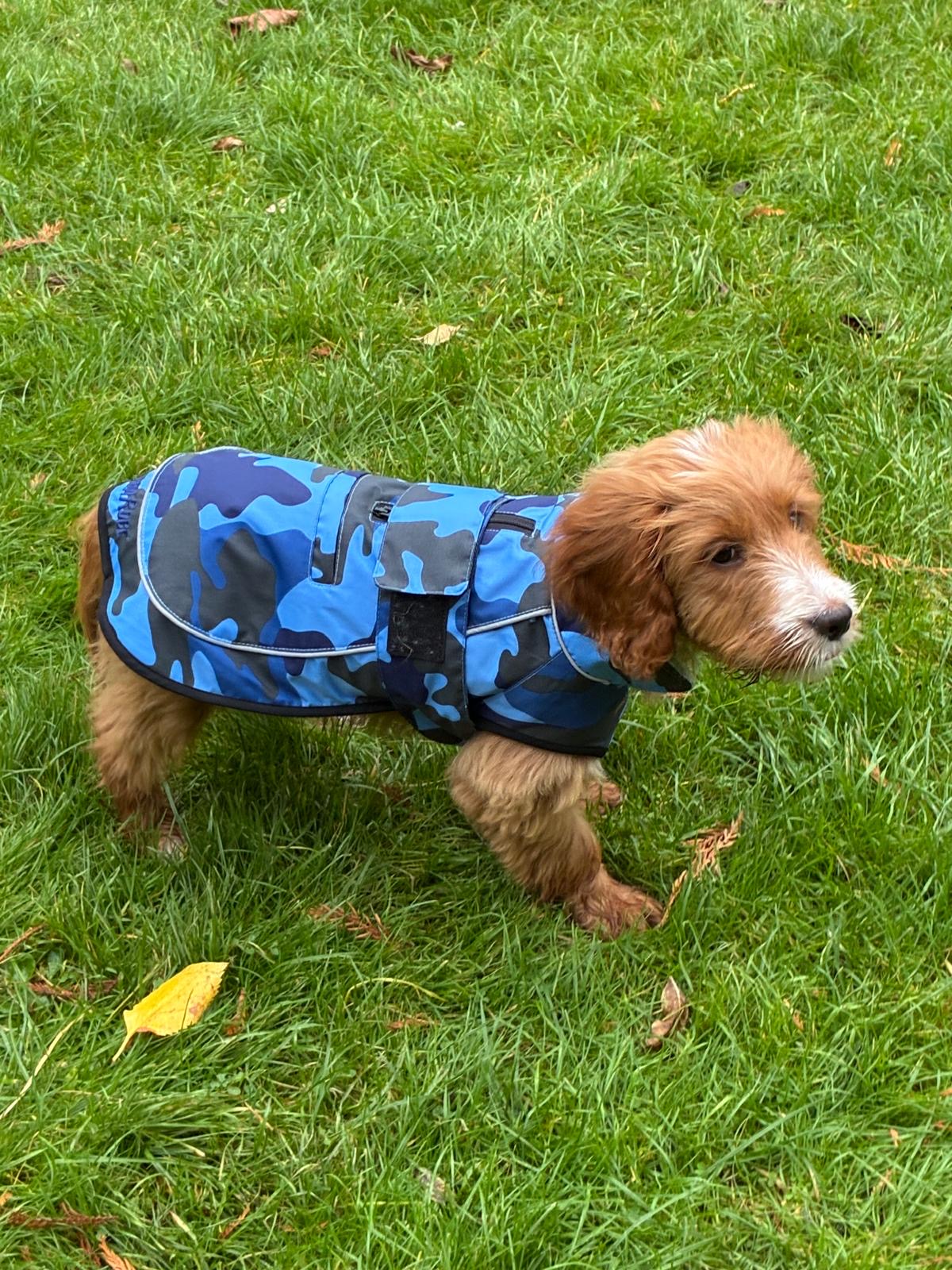 Dog Coat made Waterproof and with a cosy fleece - Blue Camo