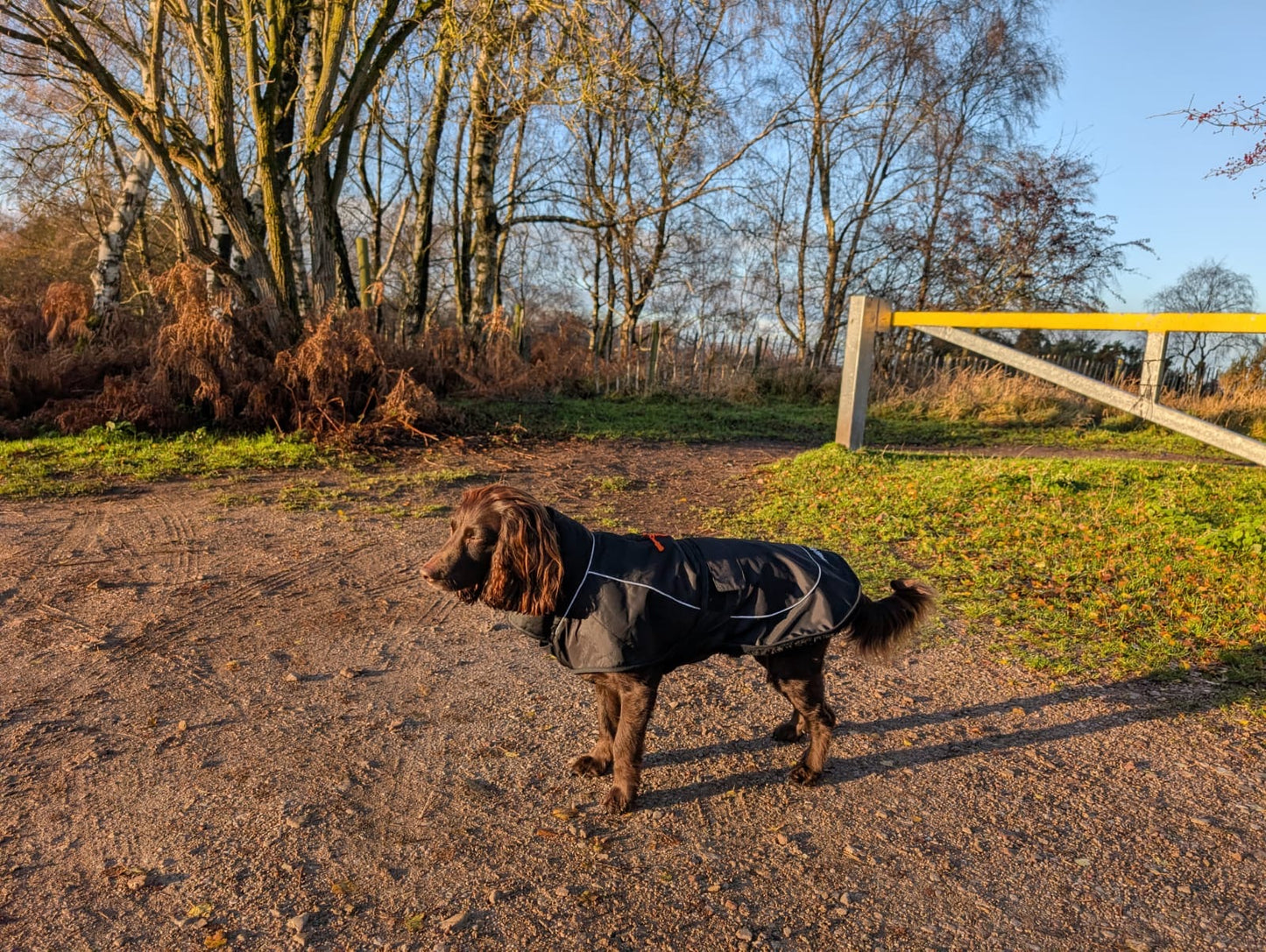 Dog Coat made Waterproof and with a cosy fleece - Black with black fleece