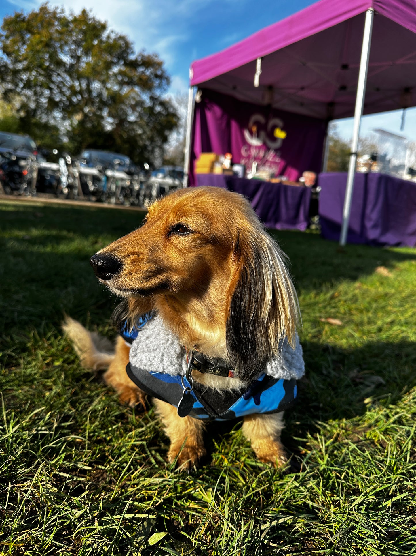 Dog Coat made Waterproof and with a cosy fleece - Blue Camo