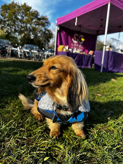 Dog Coat made Waterproof and with a cosy fleece - Blue Camo