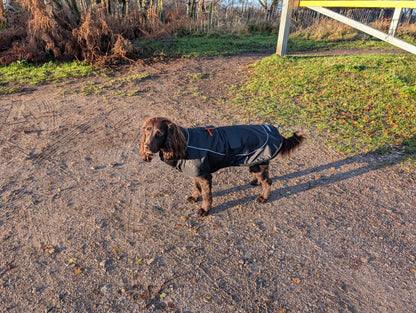 Dog Coat made Waterproof and with a cosy fleece - Black with black fleece