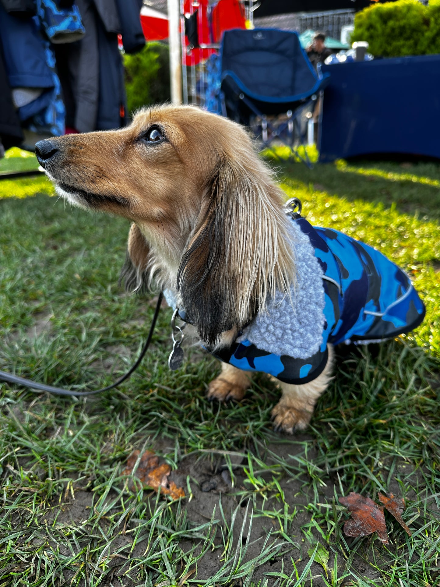 Dog Coat made Waterproof and with a cosy fleece - Blue Camo