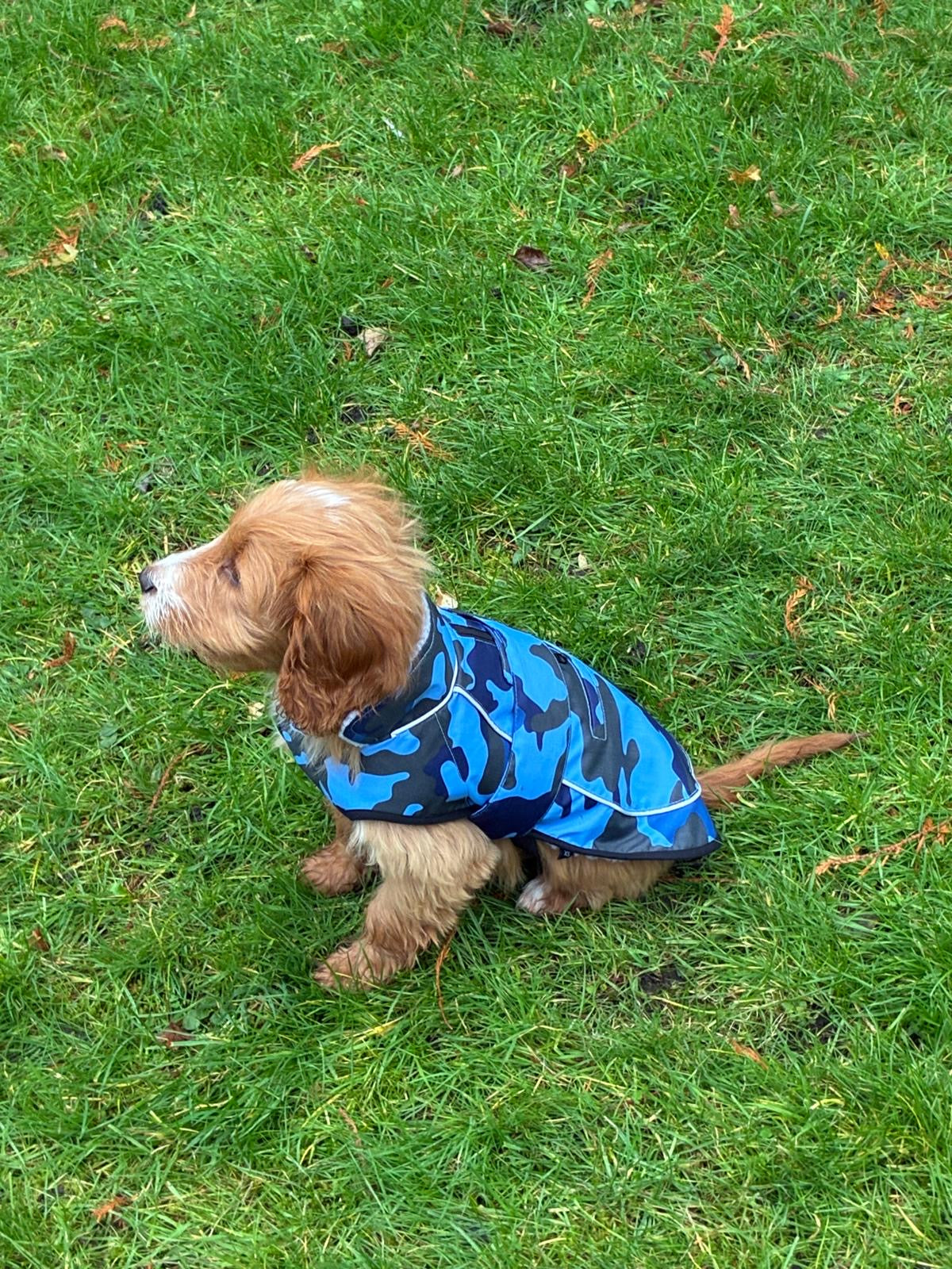 Dog Coat made Waterproof and with a cosy fleece - Blue Camo
