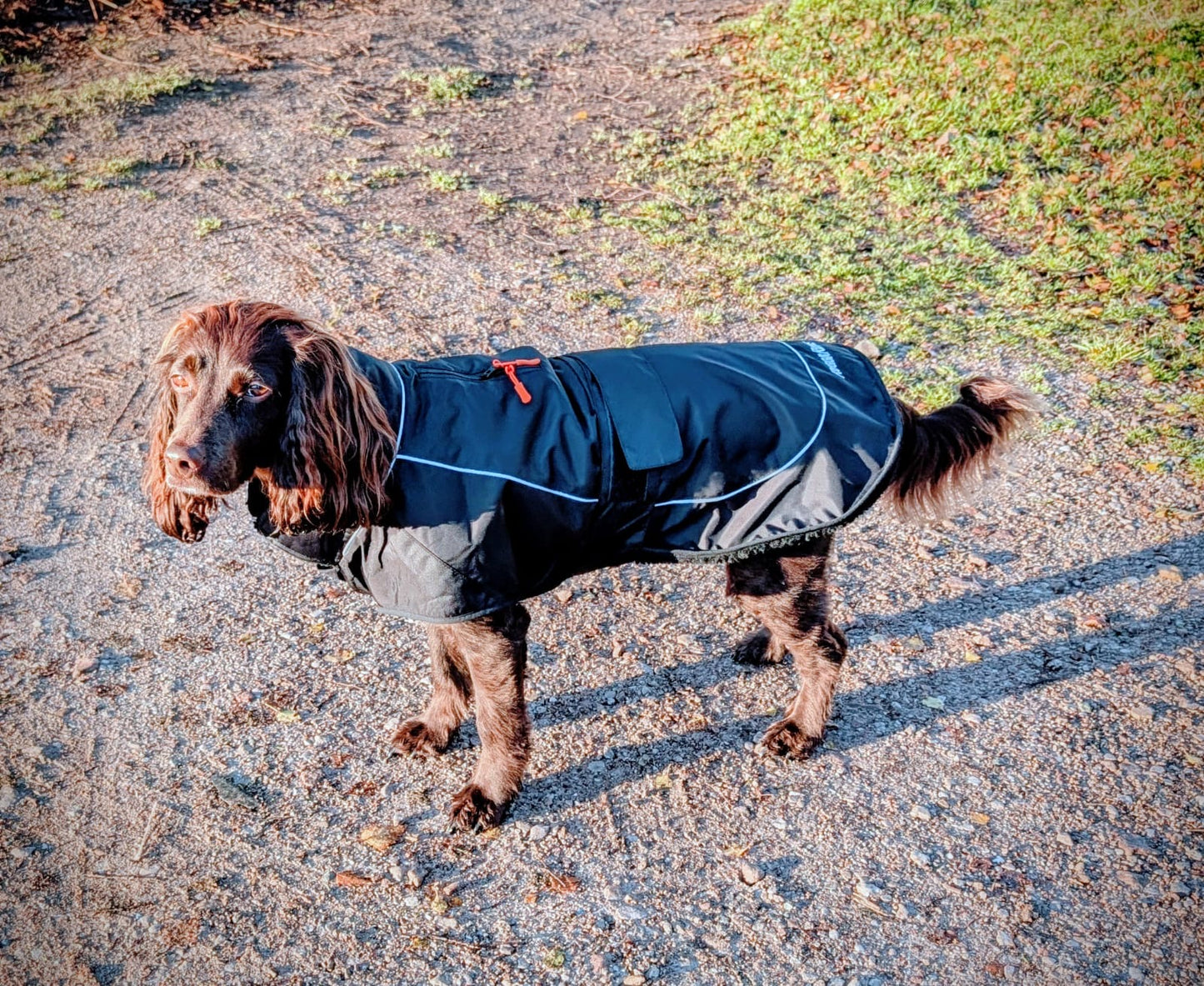 Dog Coat made Waterproof and with a cosy fleece - Black with black fleece