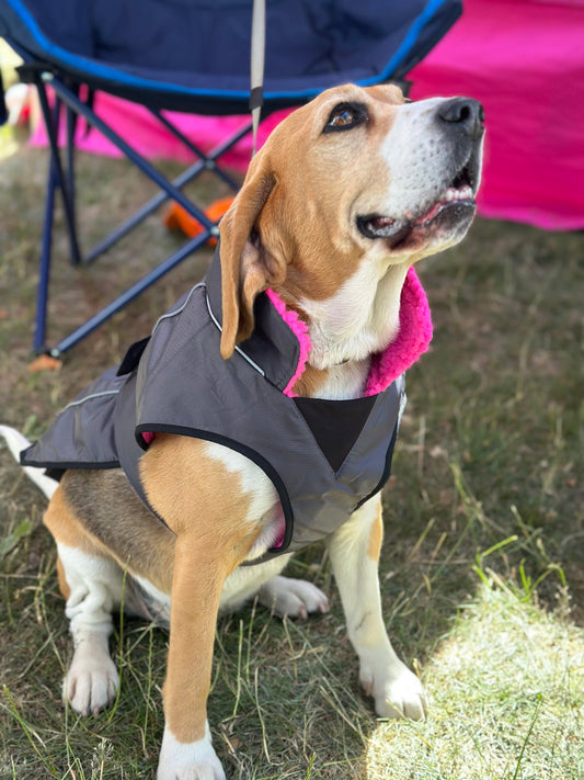Dog Coat made Waterproof and with a cosy fleece - Grey with Pink fleece