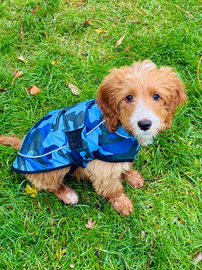 Dog Coat made Waterproof and with a cosy fleece - Blue Camo
