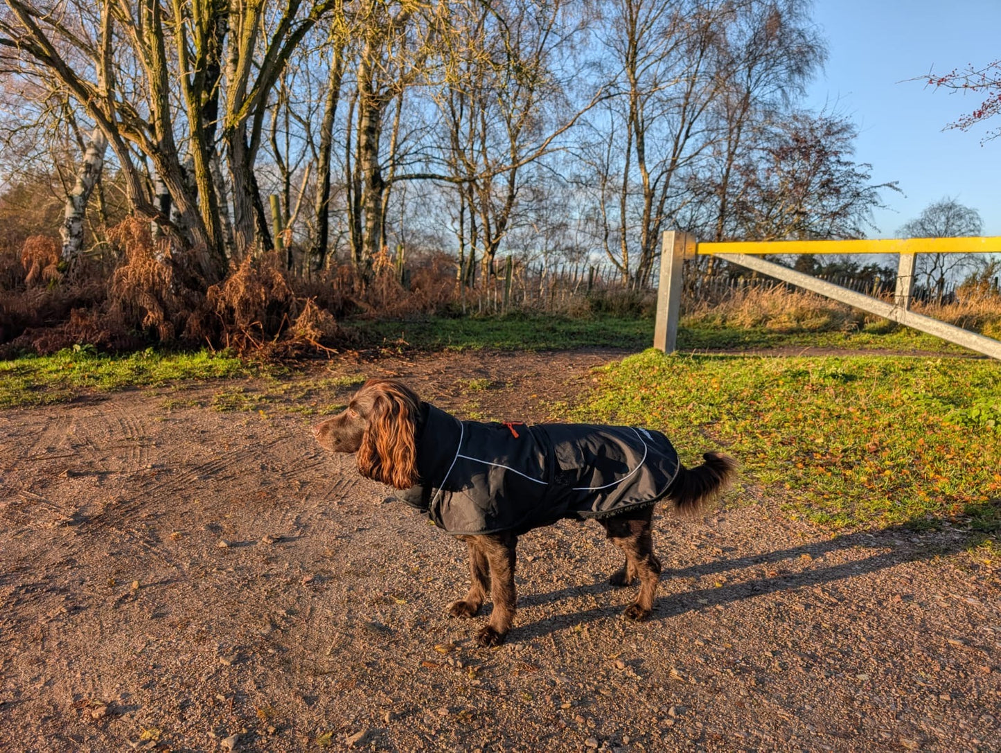 Dog Coat made Waterproof and with a cosy fleece - Black with black fleece