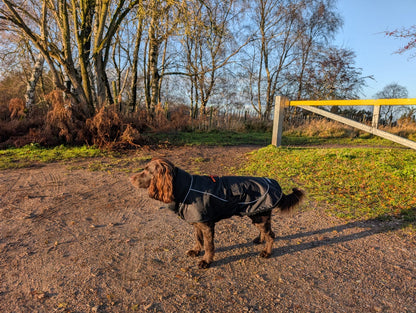 Dog Coat made Waterproof and with a cosy fleece - Black with black fleece