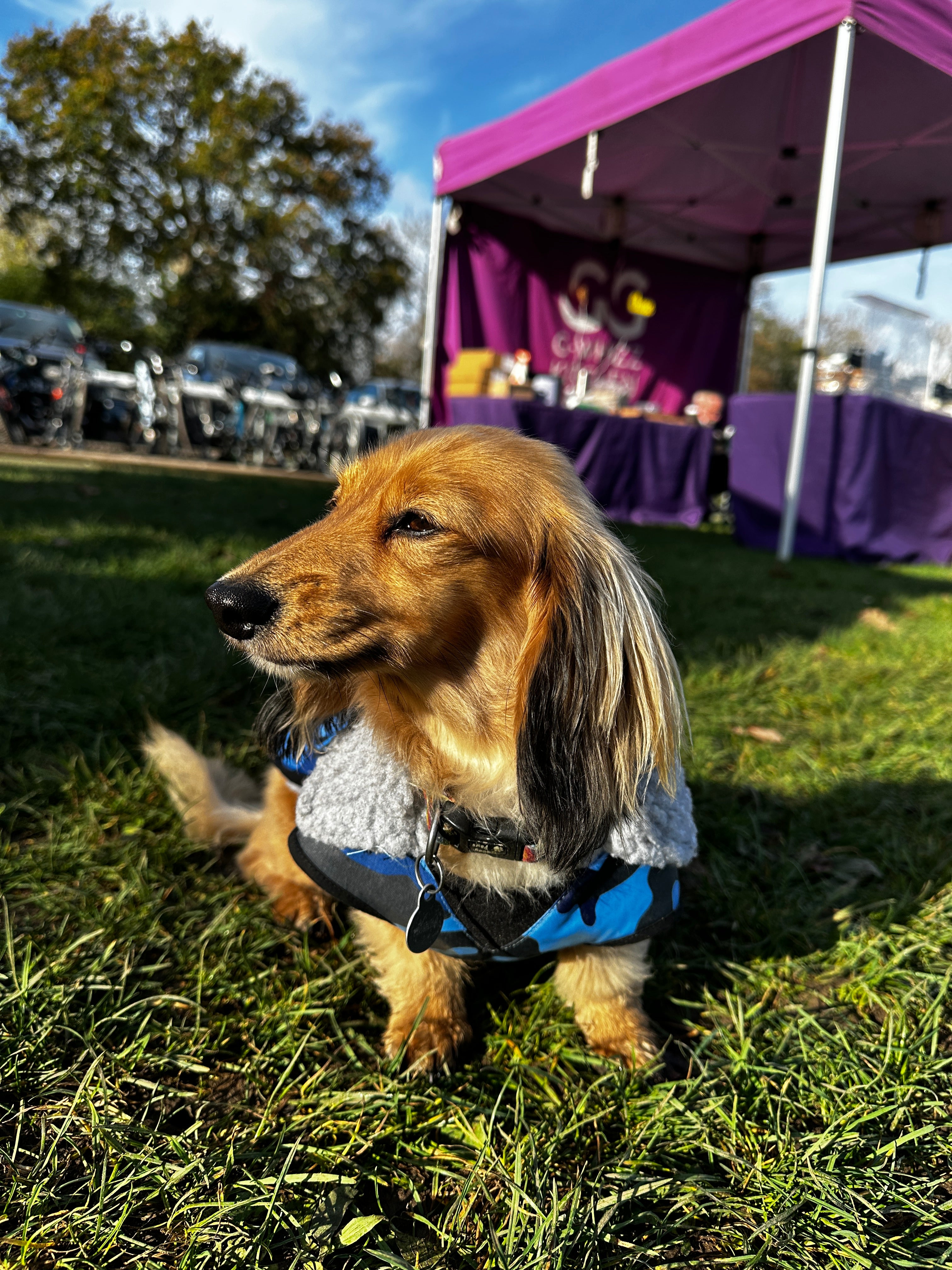 Waterproof Fleece Lined RuggaRobe Dog Coat - Blue Camo with Grey Fleece