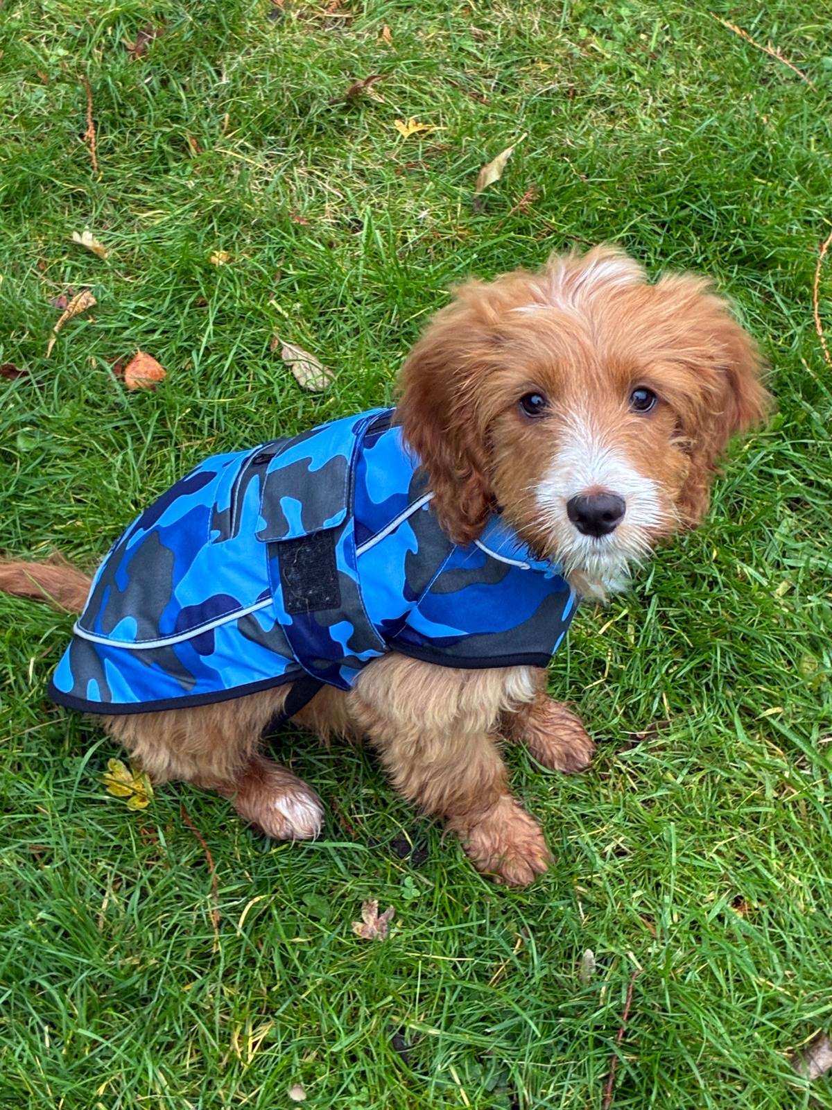 Waterproof Fleece Lined RuggaRobe Dog Coat - Blue Camo with Grey Fleece