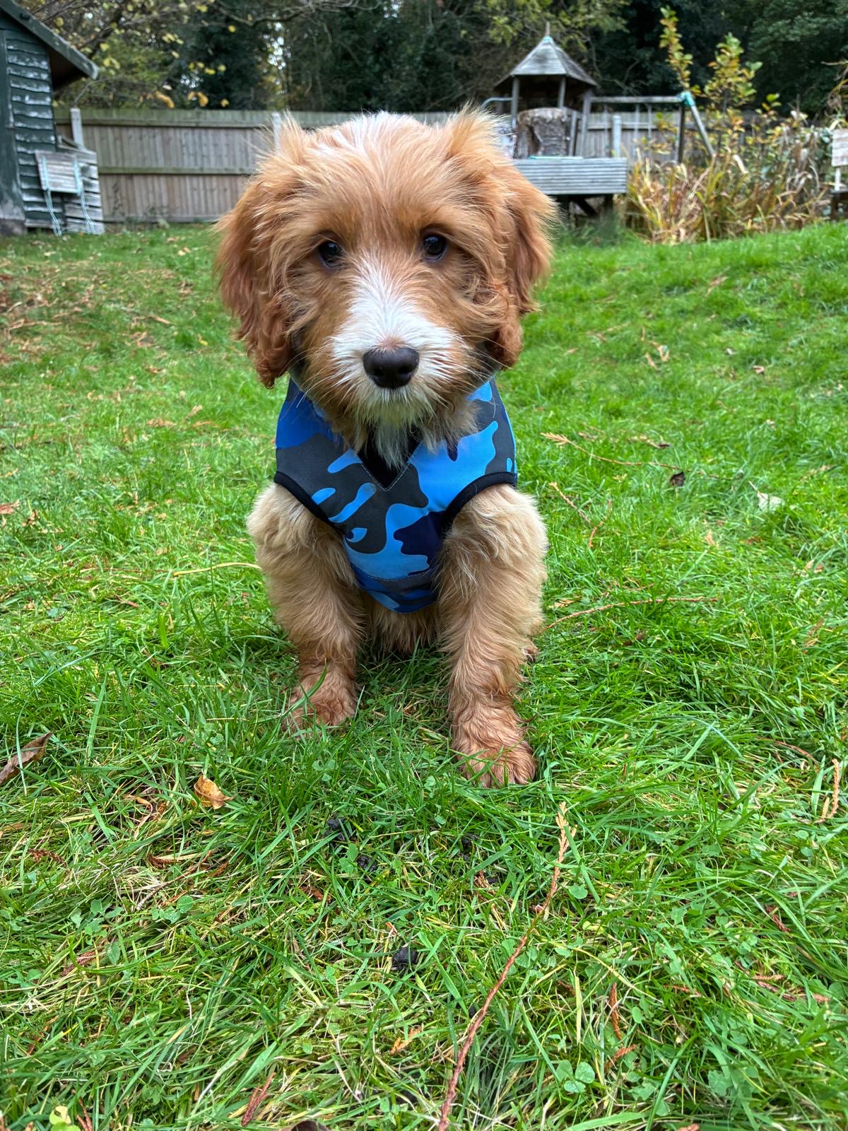 Waterproof Fleece Lined RuggaRobe Dog Coat - Blue Camo with Grey Fleece