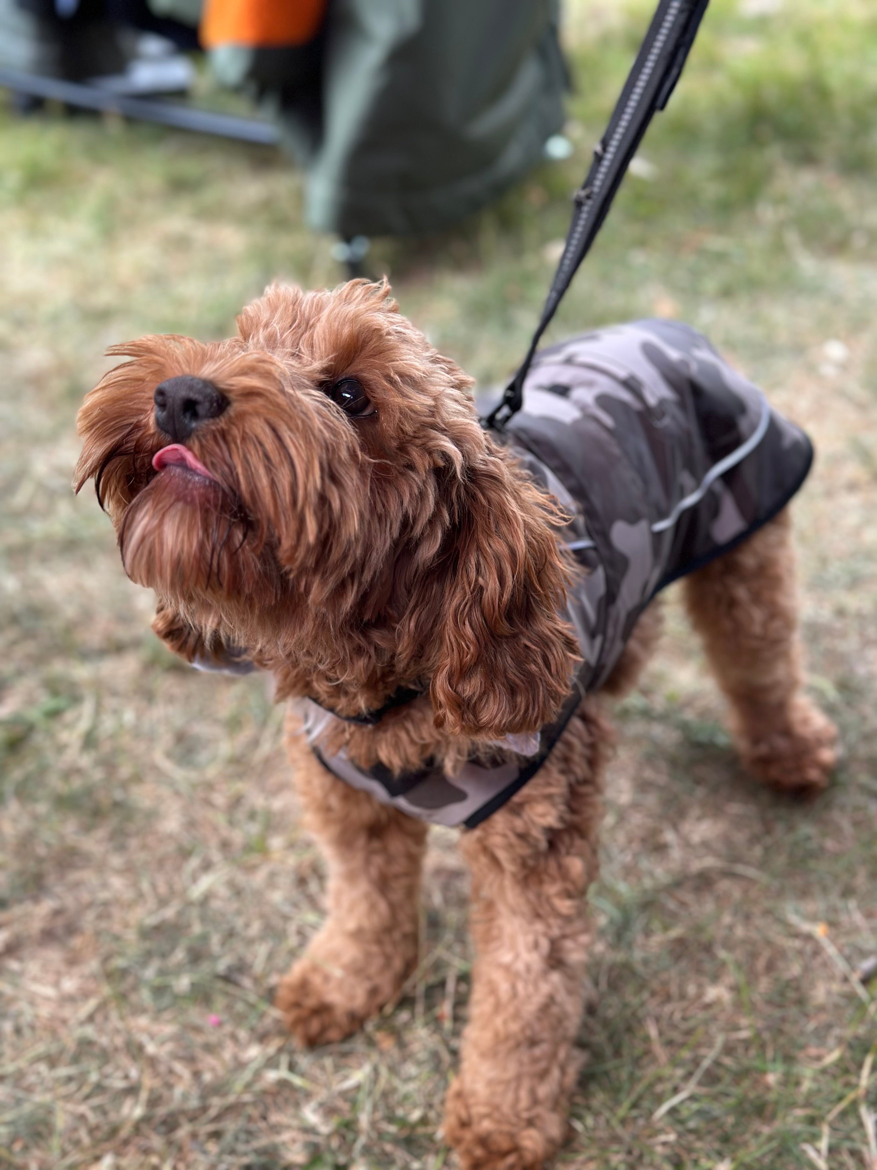 Waterproof Fleece Lined RuggaRobe Dog Coat - Grey Camo with Grey Fleece
