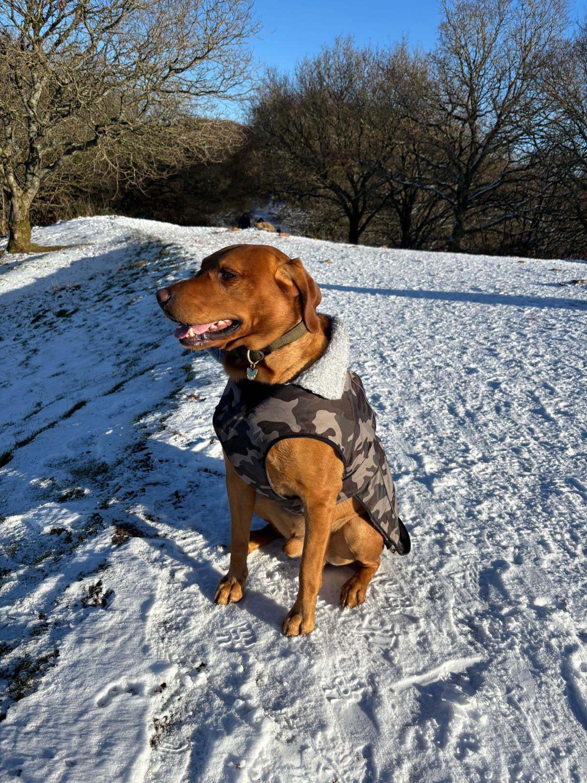 Waterproof Fleece Lined RuggaRobe Dog Coat - Grey Camo with Grey Fleece