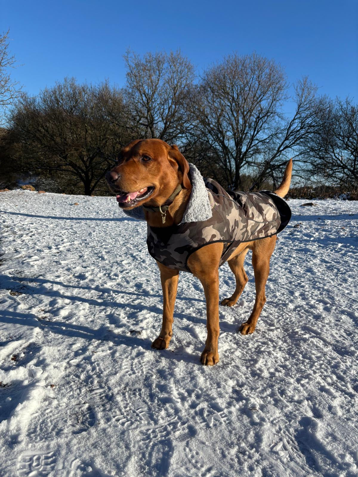 Waterproof Fleece Lined RuggaRobe Dog Coat - Grey Camo with Grey Fleece