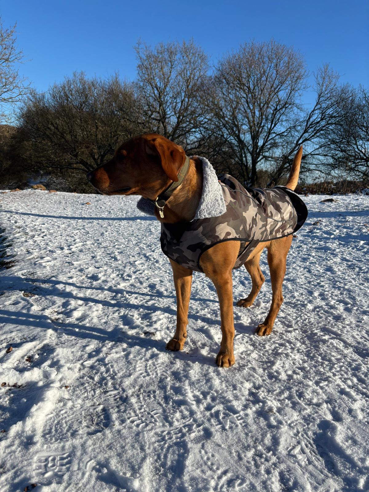 Waterproof Fleece Lined RuggaRobe Dog Coat - Grey Camo with Grey Fleece
