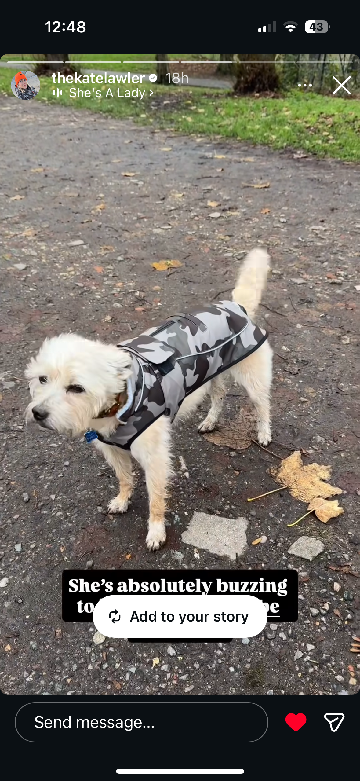Waterproof Fleece Lined RuggaRobe Dog Coat - Grey Camo with Grey Fleece