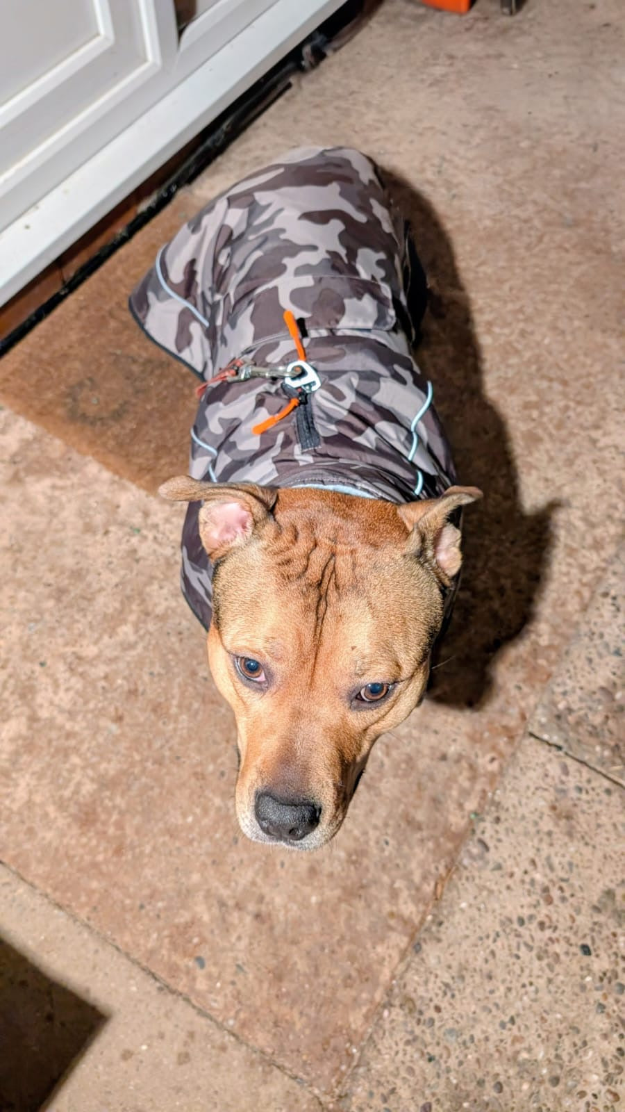 Waterproof Fleece Lined RuggaRobe Dog Coat - Grey Camo with Grey Fleece