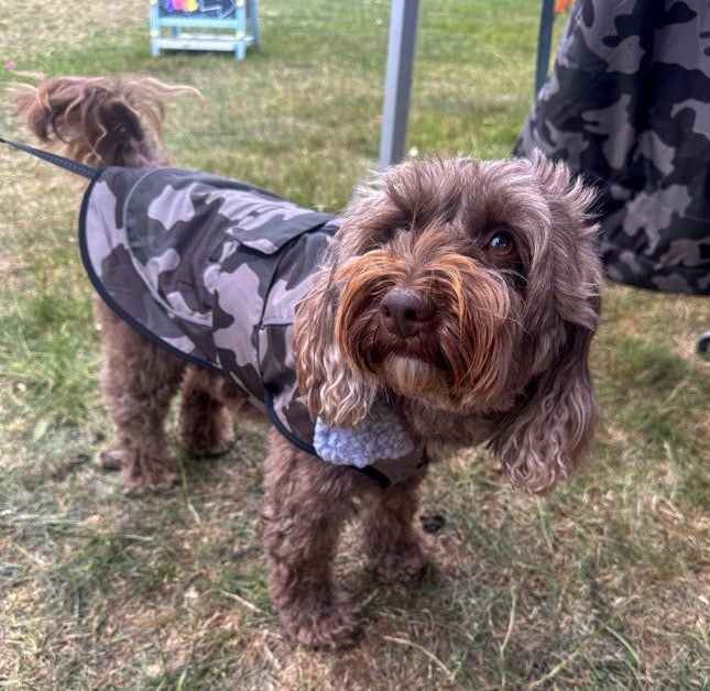Dog Coat made Waterproof and with a cosy fleece - Grey Camo