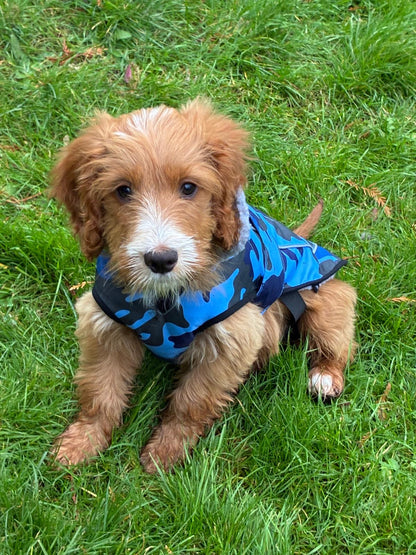 Dog Coat made Waterproof and with a cosy fleece - Blue Camo