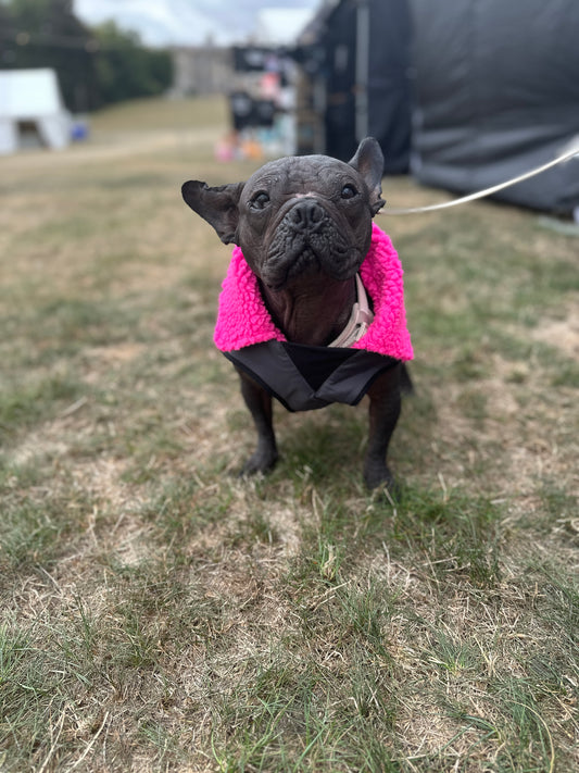 Dog Coat made Waterproof and with a cosy fleece - Grey with Pink fleece