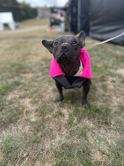 Dog Coat made Waterproof and with a cosy fleece - Grey with Pink fleece
