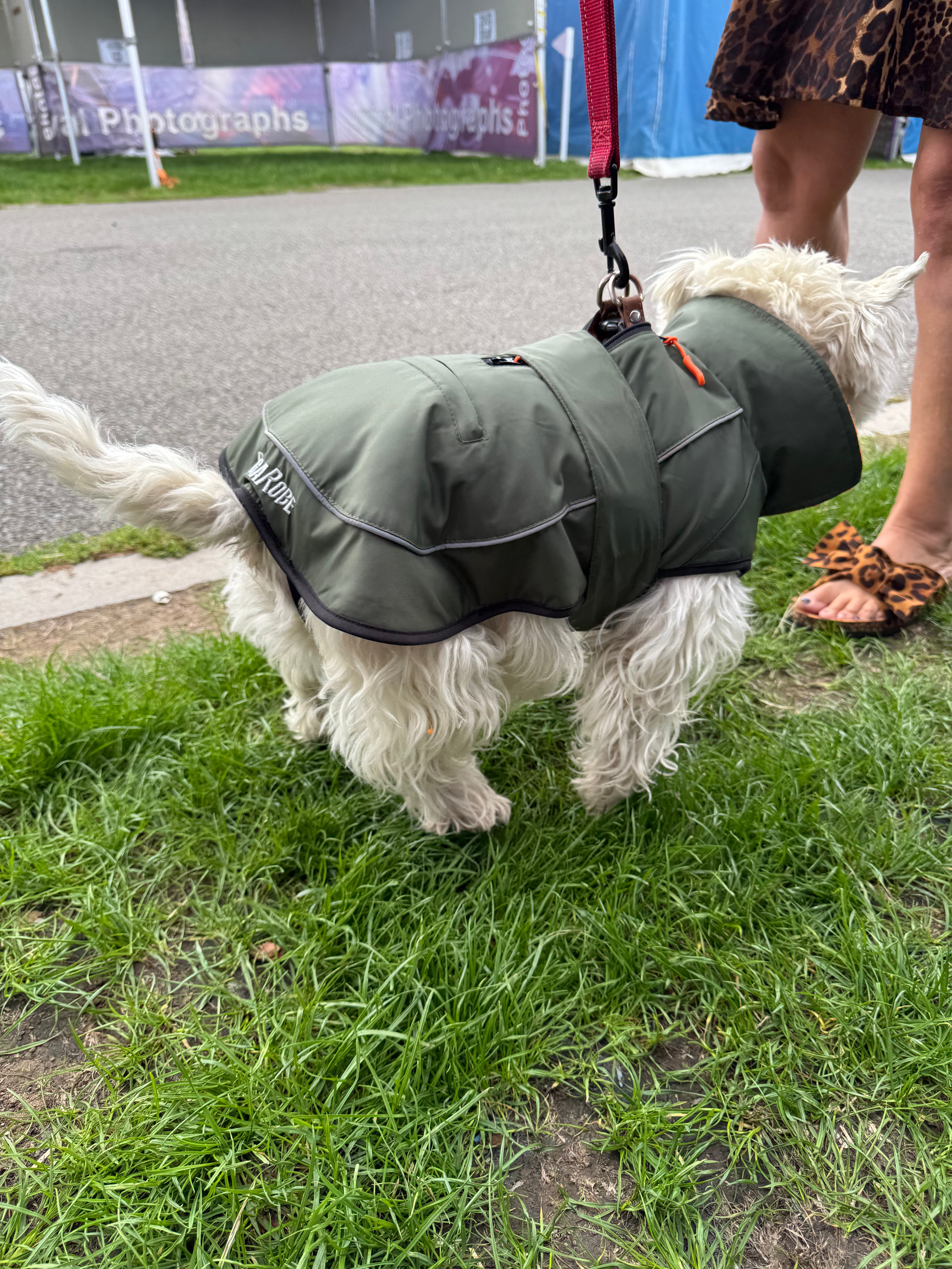 Waterproof Fleece Lined RuggaRobe Dog Coat - Green with Orange Fleece